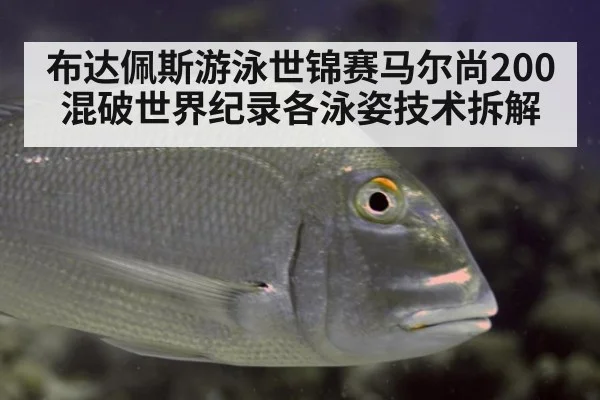 布达佩斯游泳世锦赛马尔尚200混破世界纪录各泳姿技术拆解