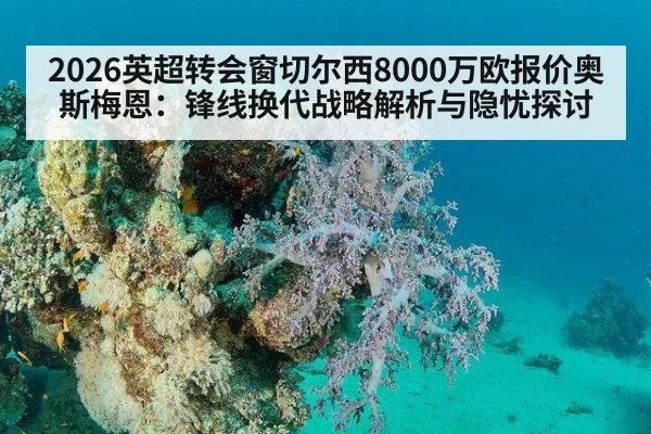 2026英超转会窗切尔西8000万欧报价奥斯梅恩：锋线换代战略解析与隐忧探讨