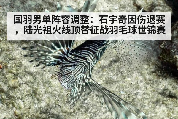 国羽男单阵容调整:石宇奇因伤退赛,陆光祖火线顶替征战羽毛球世锦赛